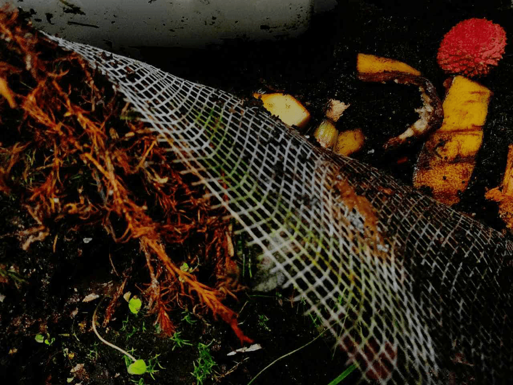 compost