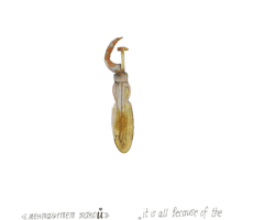 Йй letter