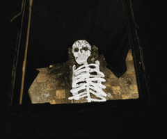 skeleton