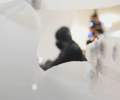 alive/not\alive: the hall