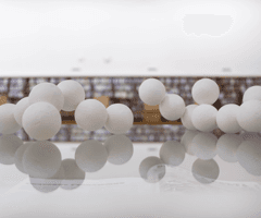 alive/not\alive: library exposition