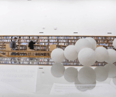 alive/not\alive: library exposition