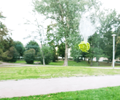 alive/not\alive: windows