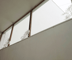 alive/not\alive: the venue