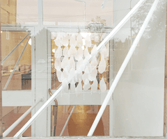 alive/not\alive: entrance (newspapers))