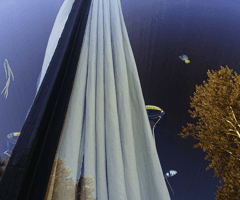 alive/not\alive: windows from outside