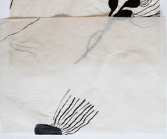 non selection: vellum drawings for windows