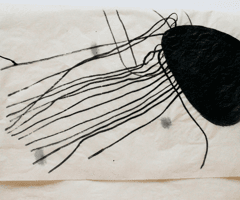 non selection: vellum drawings for windows