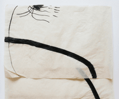 non selection: vellum drawings for windows