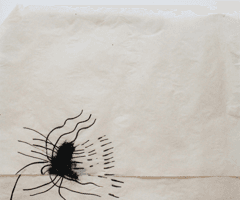 non selection: vellum drawings for windows