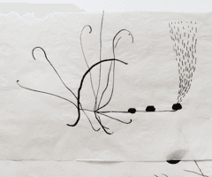 non selection: vellum drawings for windows