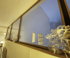 alive/not\alive: the venue