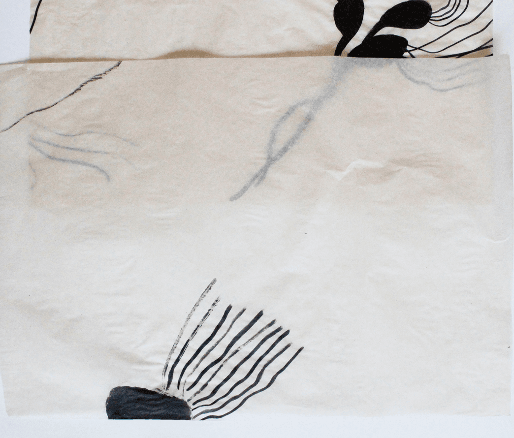 non selection: vellum drawings for windows