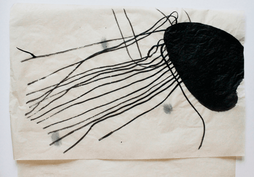 non selection: vellum drawings for windows