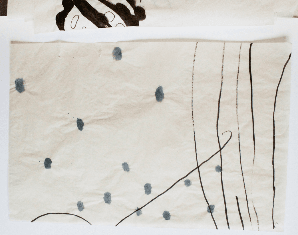 non selection: vellum drawings for windows