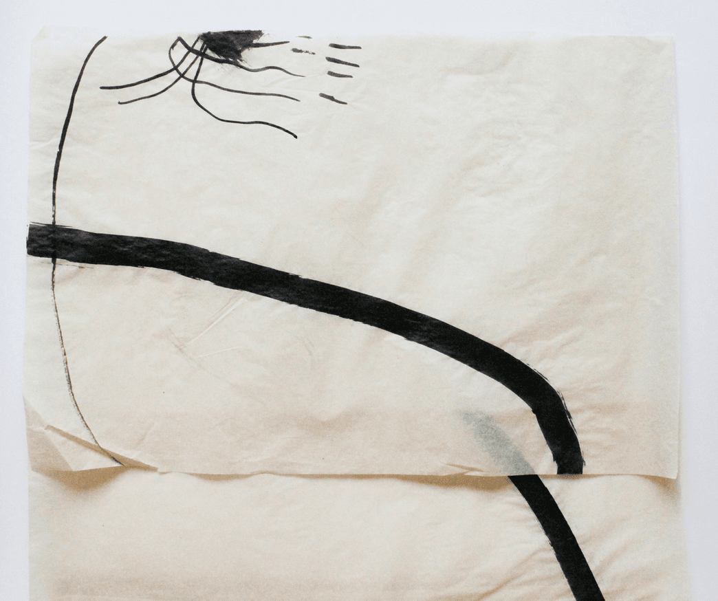 non selection: vellum drawings for windows