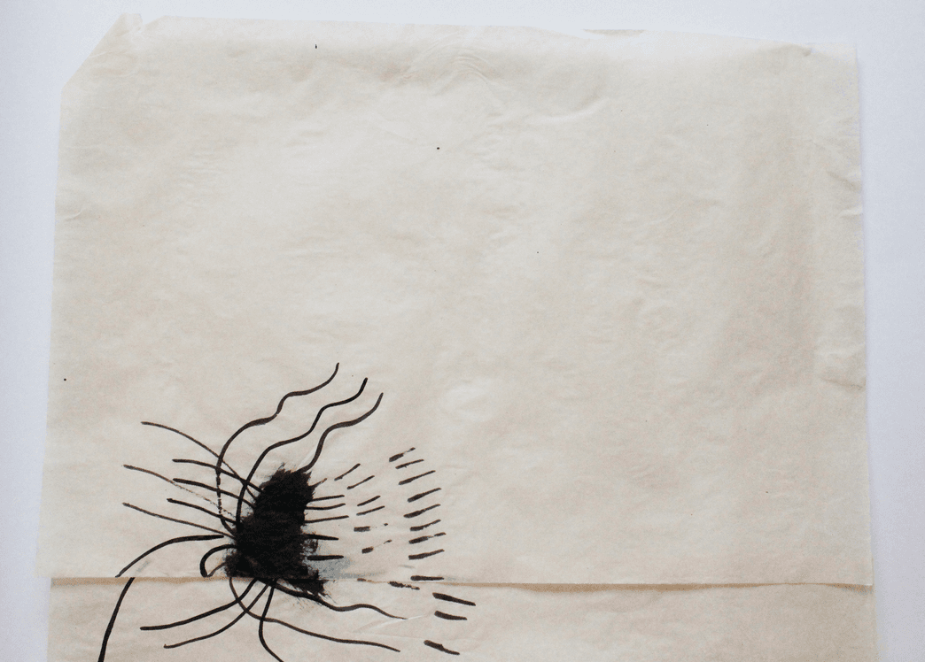 non selection: vellum drawings for windows