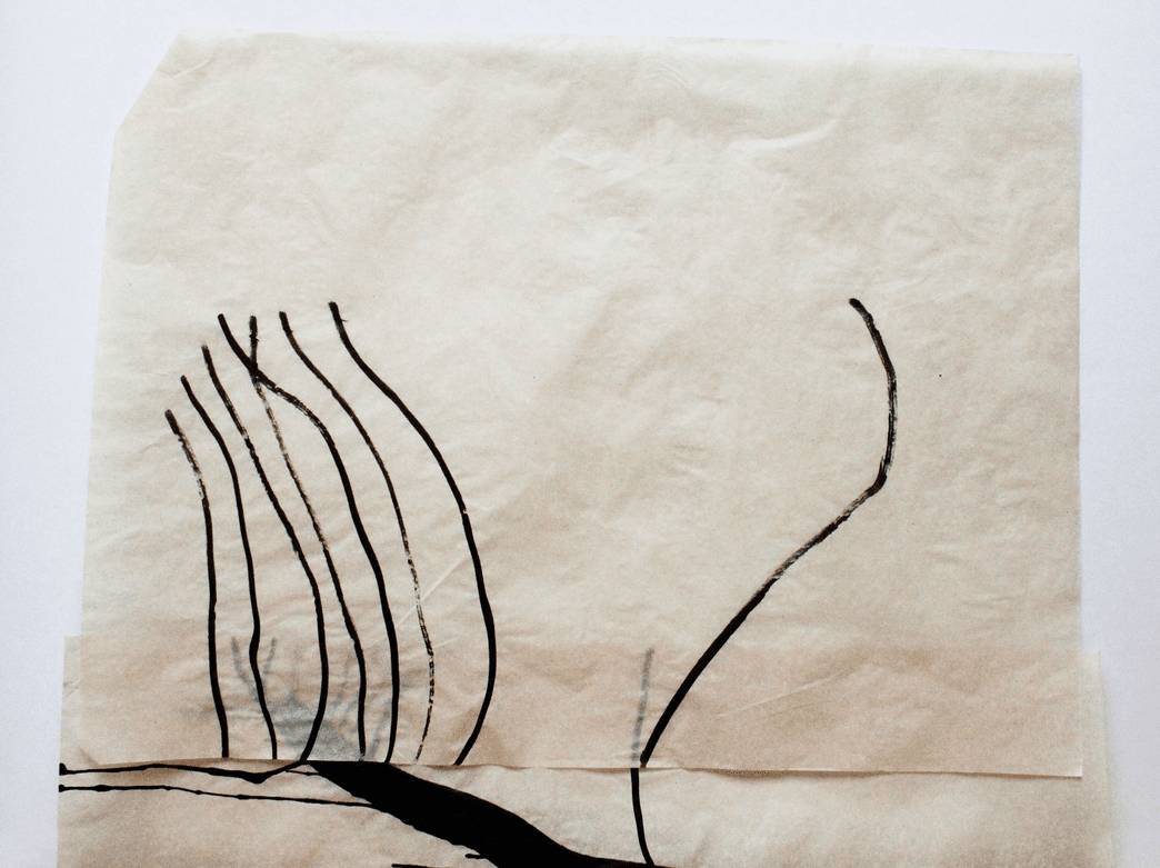 non selection: vellum drawings for windows