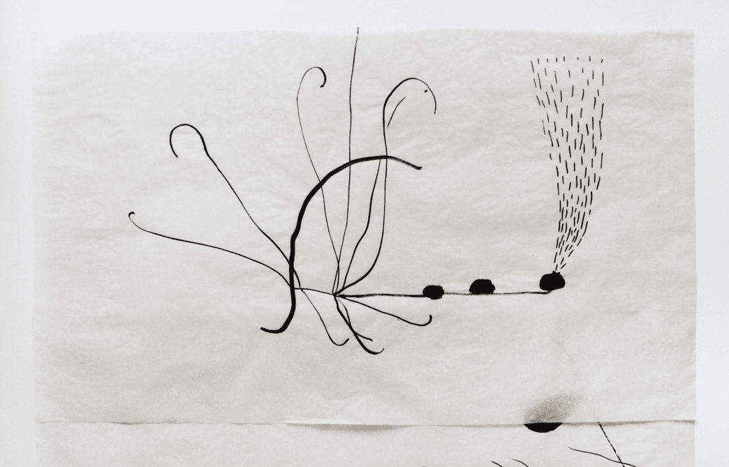 non selection: vellum drawings for windows