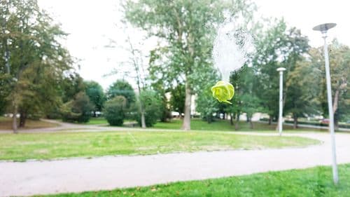 живо/не\живо: окна
