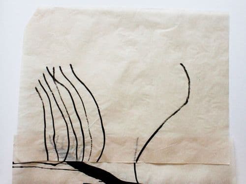 non selection: vellum drawings for windows