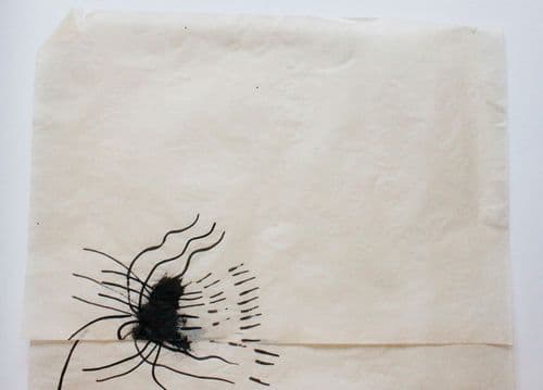 non selection: vellum drawings for windows