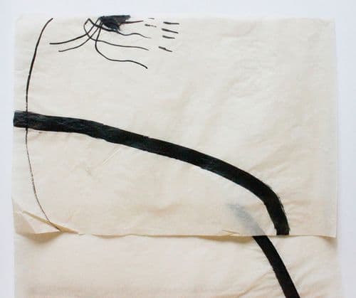 non selection: vellum drawings for windows