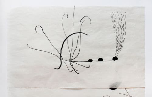 non selection: vellum drawings for windows