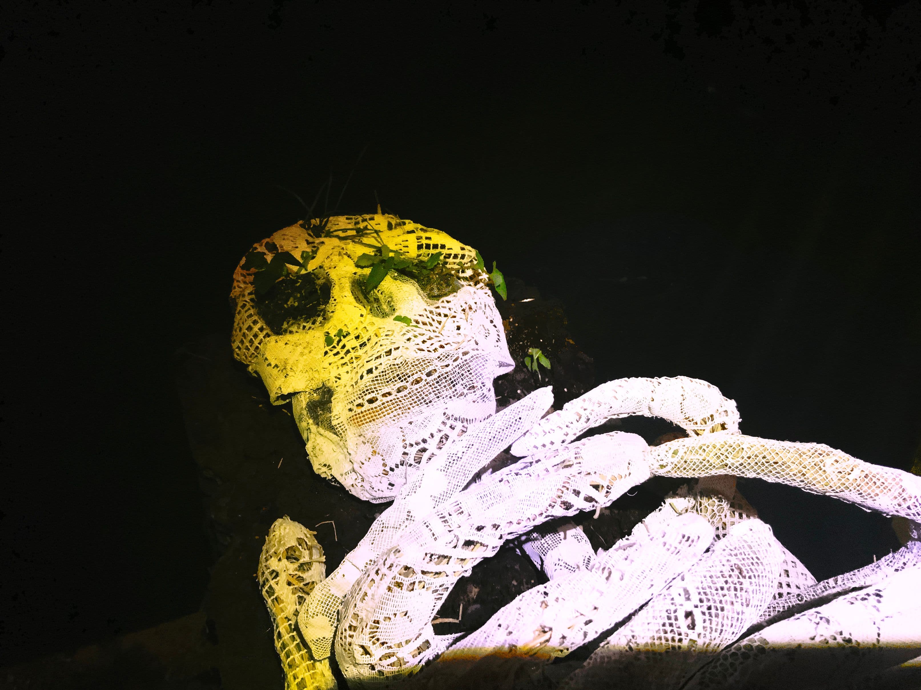 skeleton