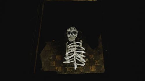 skeleton