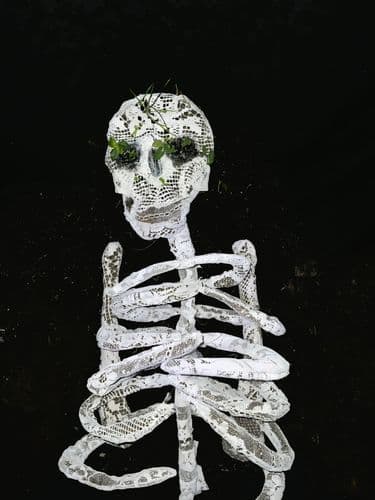 skeleton
