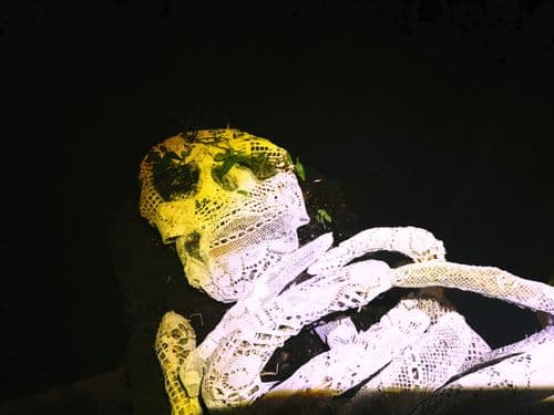 skeleton